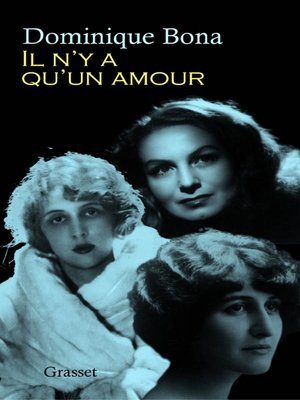cover image of Il n'y a qu'un amour